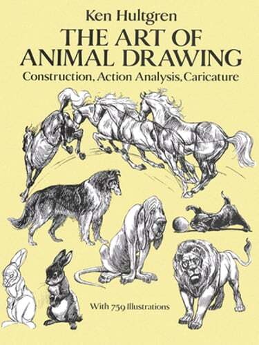 The art animal drawing - the,